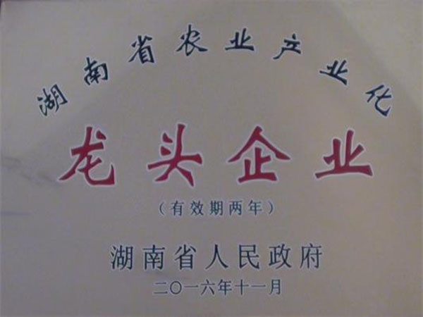 2016龍頭企業